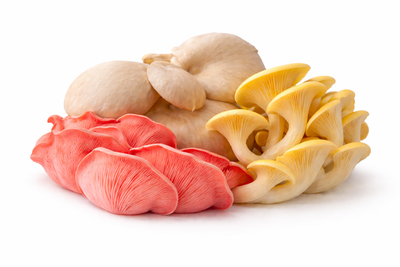 Mixed Oyster Mushrooms - 250 Grams