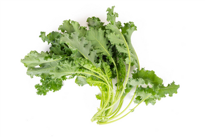 Kale Winterbor Baby leaf