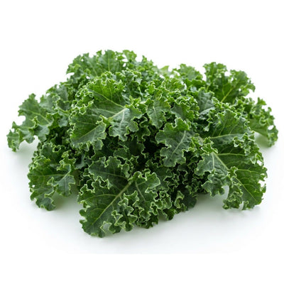 Kale Winterbor Baby leaf