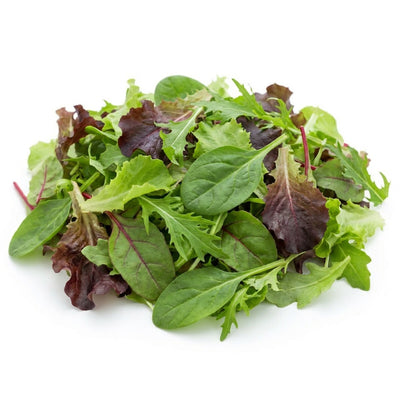 Mesclun Mix Baby Leaf