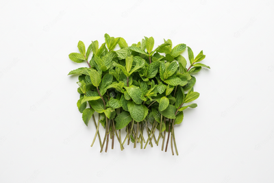 Mint
