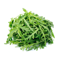 Arugula Baby leaf