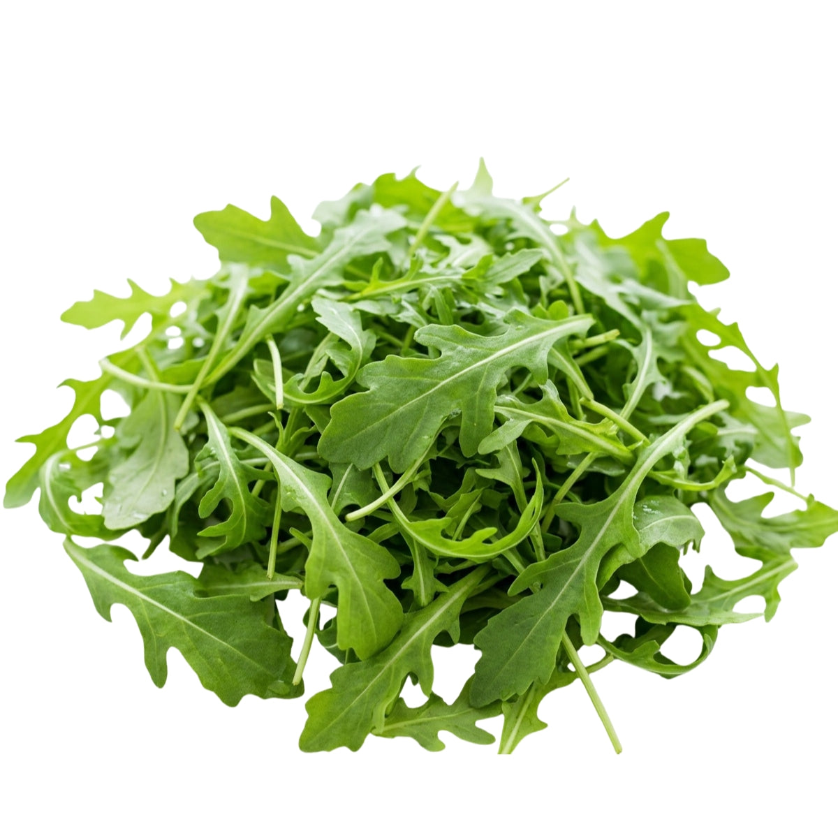Arugula Baby leaf - image 1