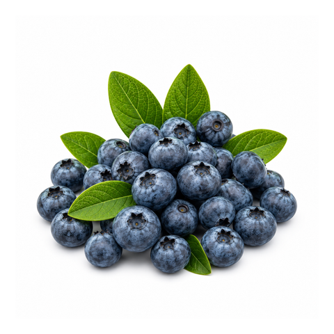 Blueberry