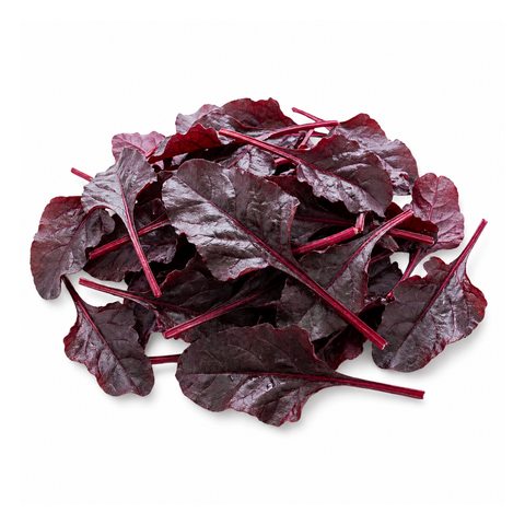 Bulls Blood Beet