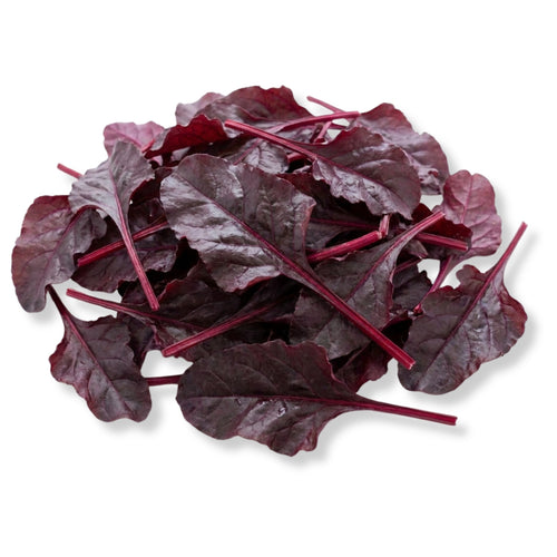 Bulls Blood Beet
