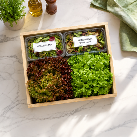 Bundle - Salad Lover Box