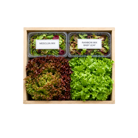 Bundle - Salad Lover Box