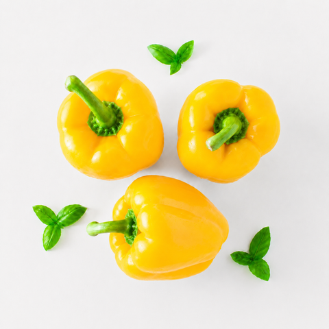 Capsicum Yellow