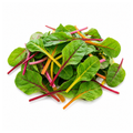 Chard Bright light Baby leaf