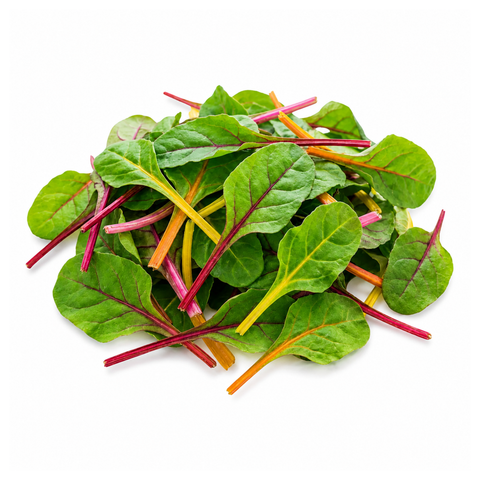 Chard Bright light Baby leaf