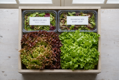 Bundle - Salad Lover Box