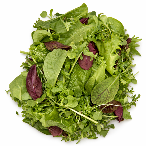 Spicy Mix Baby leaf