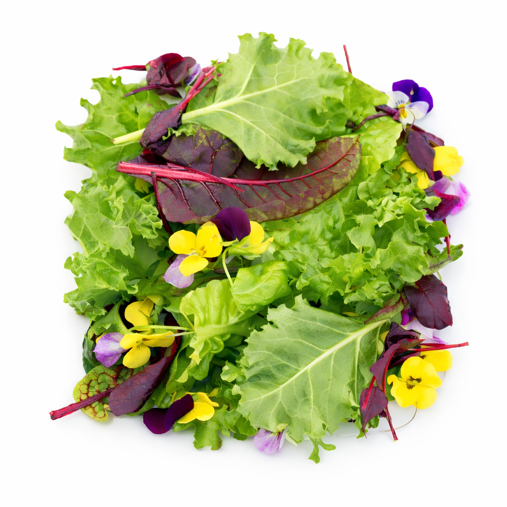 Healthy Mix Baby leaf - image 1