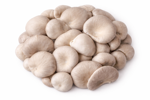Grey Oyster Mushrooms