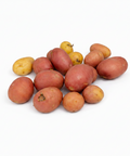 Fresh Small Potatoes grown at CrYsp Farms in the UAE