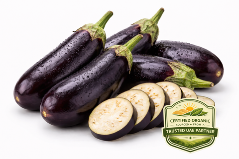 Fresh Organic Eggplant grown at CrYsp Farms in the UAE