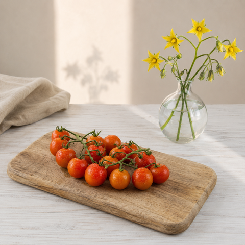 Cherry Tomato Bunch