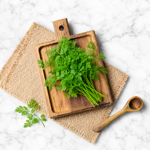 Chervil