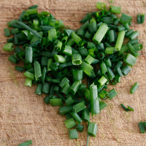 Chives