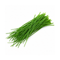 Chives