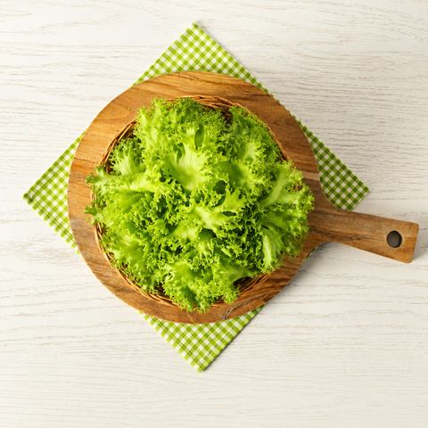 Coastline Lettuce