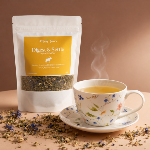Digest & Settle Blend Organic Herbal Tea