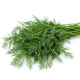 Dill