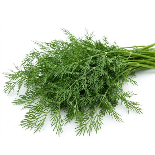 Dill