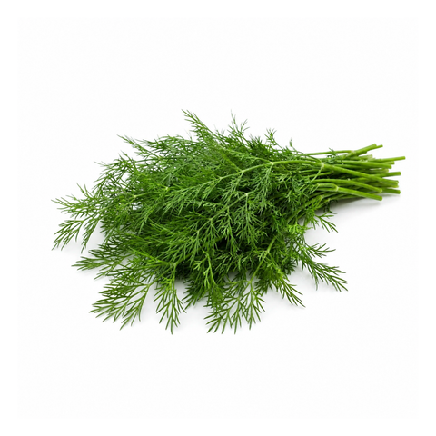 Dill