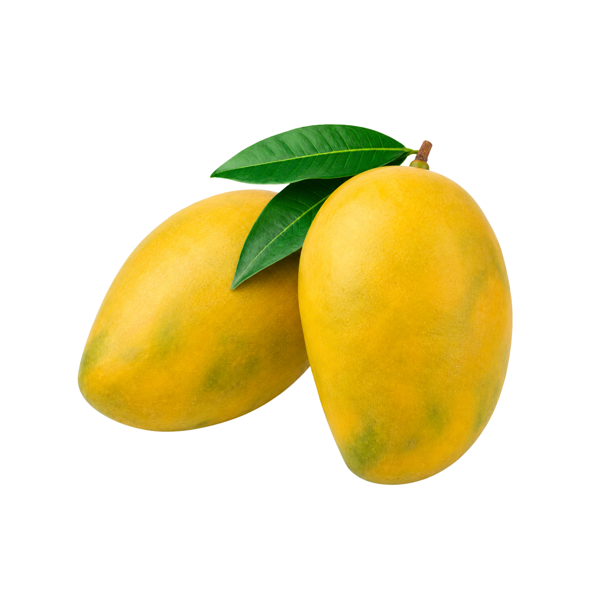 Fass Mango - image 1