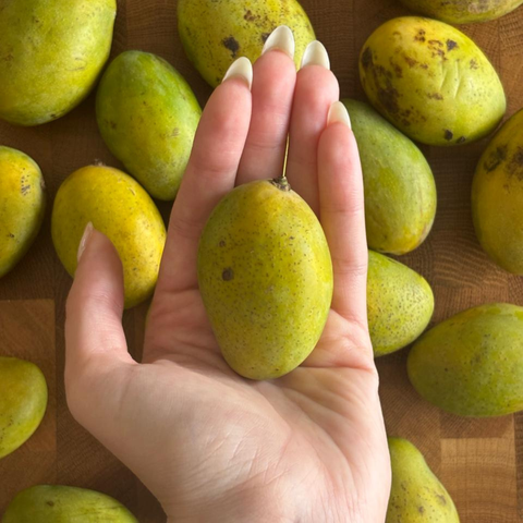 Fass baby Mango