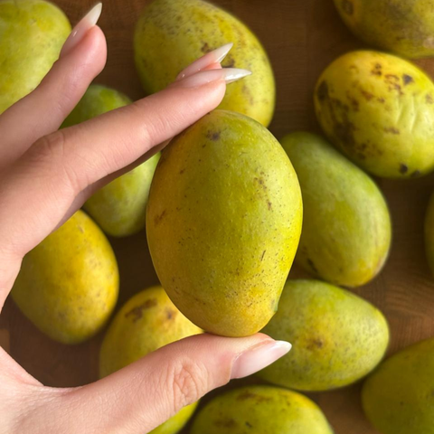 Fass baby Mango