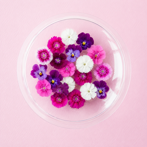 Fresh Edible Dianthus