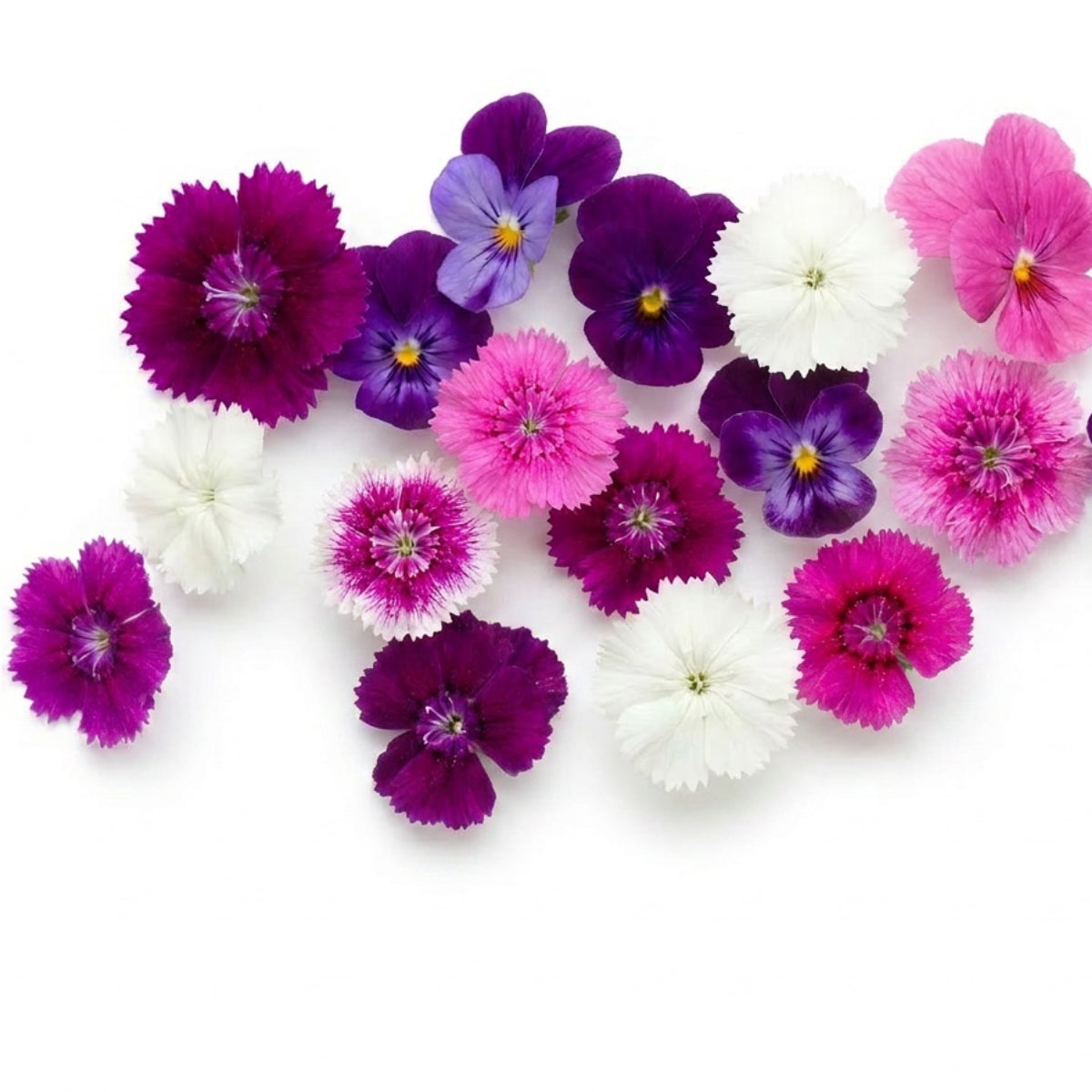 Fresh Edible Dianthus - image 1