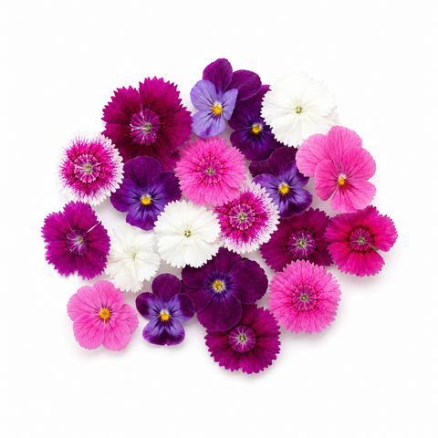 Fresh Edible Dianthus