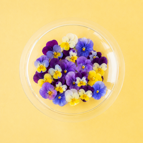 Fresh Edible Violas & Pansies
