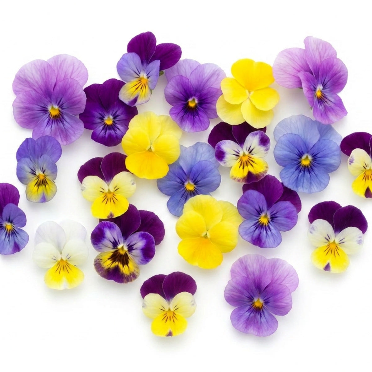 Fresh Edible Violas & Pansies - image 1