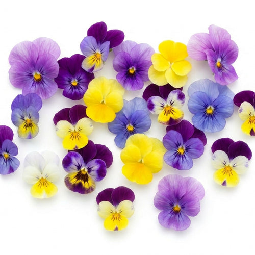 Fresh Edible Violas & Pansies