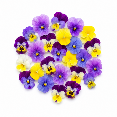 Edible Flowers