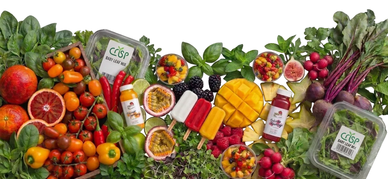 Freshly Harvested Produce from our Hydroponic Farms in UAE