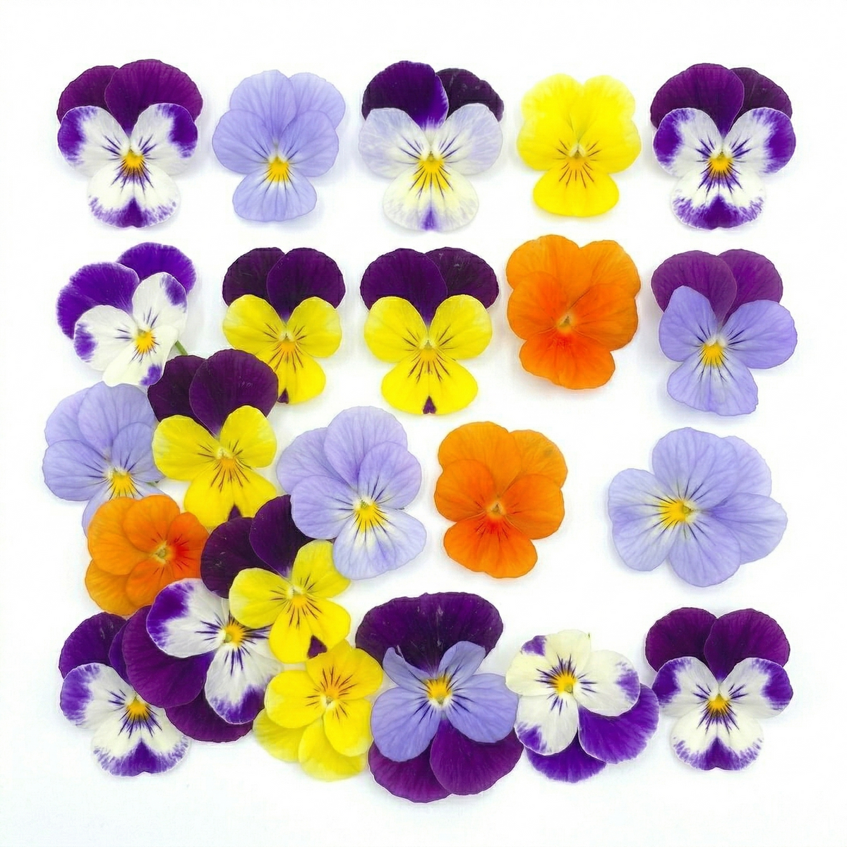 Fresh Edible Violas & Pansies| 15 pcs - image 1
