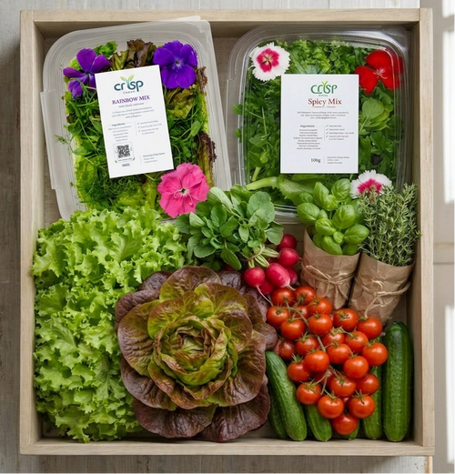 Bundle - Chef’s Selection Box