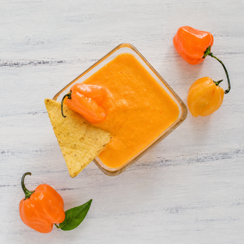 Habanero Chilli