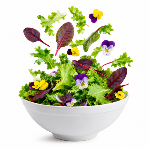 Healthy Mix Baby leaf