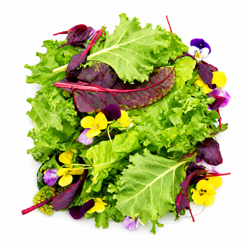 Healthy Mix Baby leaf