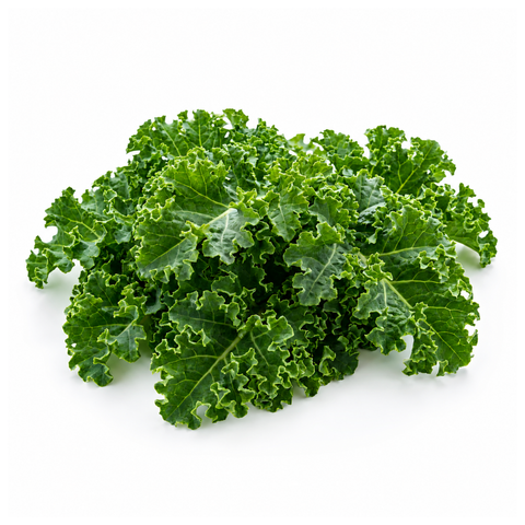 Kale Winterbor Baby leaf
