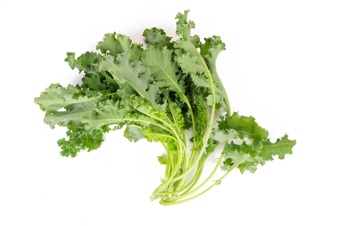 Kale Winterbor Baby leaf - image 1