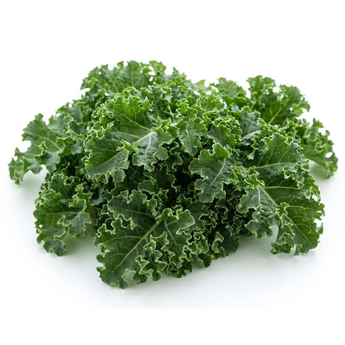 Kale Winterbor Baby leaf - image 1