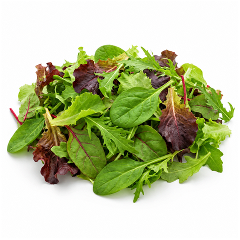 Mesclun Mix Baby Leaf